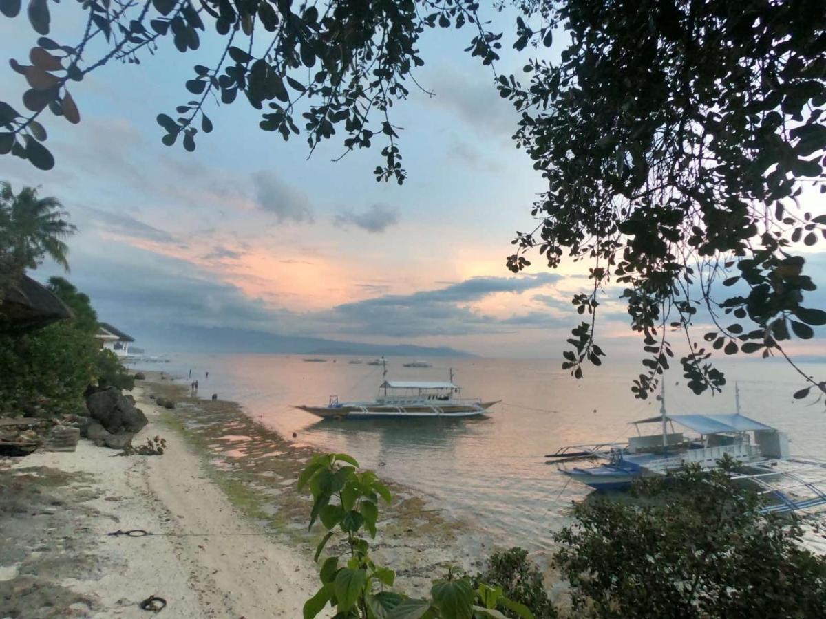 Pescador View - Beach Resort & Restaurant Moalboal Exterior photo